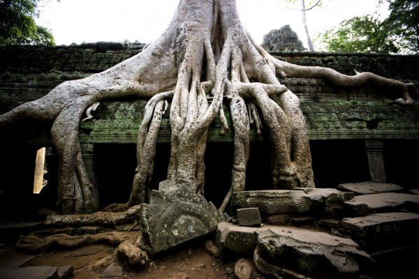Jour 11 : Preah Vihear – Koh Ker – Beng Mealea – Siem Reap